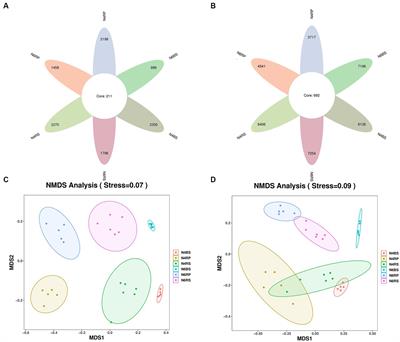 Influence of cultivation duration on microbial taxa aggregation in Panax ginseng soils across ecological niches